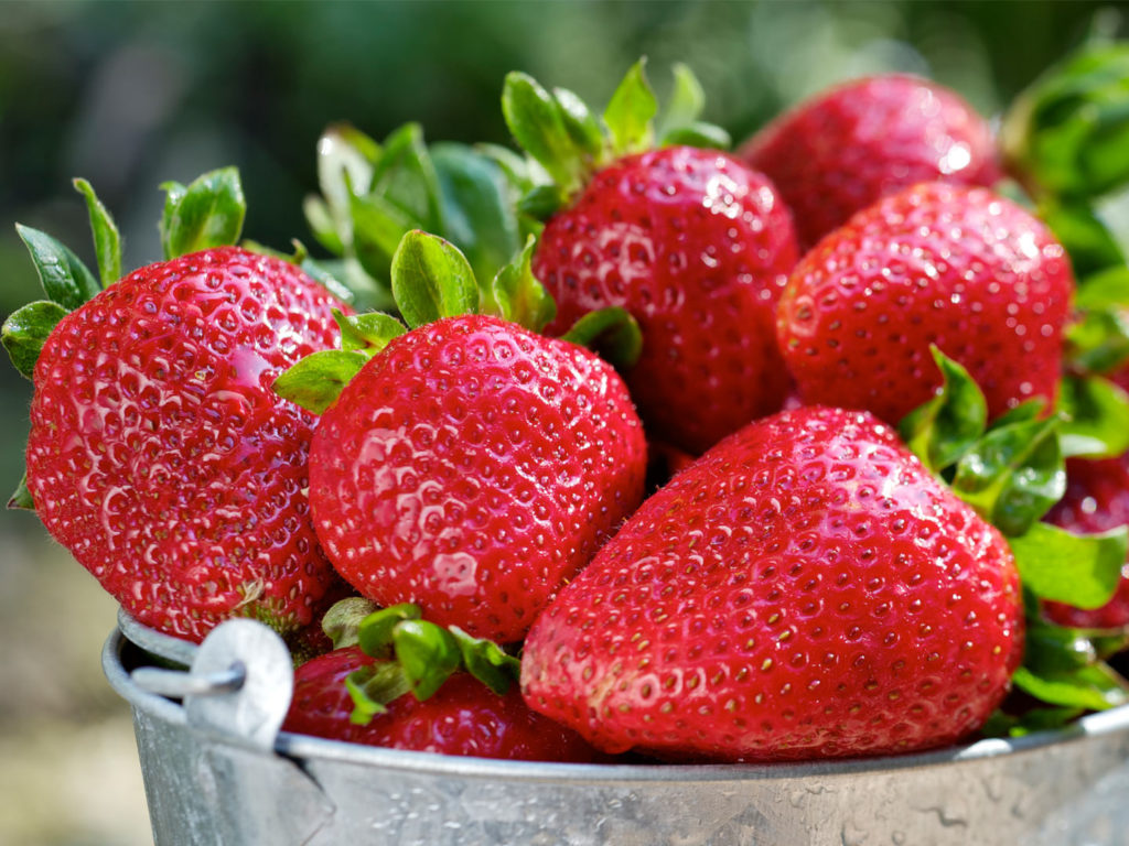 The Dirty Dozen Foods Gallery Foods You Should Always Buy Organic