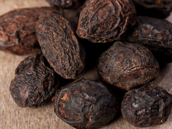 vitamins-supplements-herbs_herbs_saw-palmetto_516396615