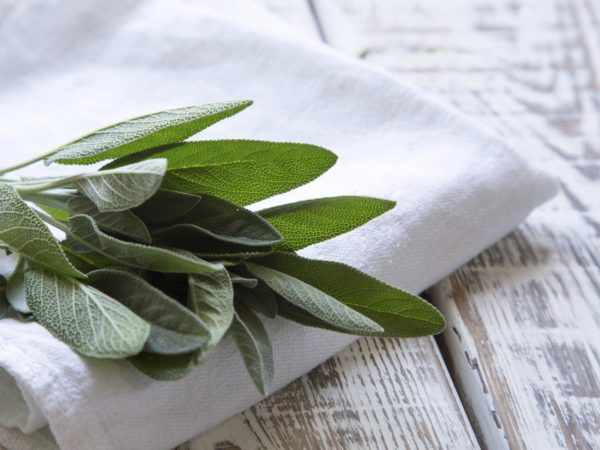 Cooking With Spices: Sage | Dr. Weil's Healthy Kitchen