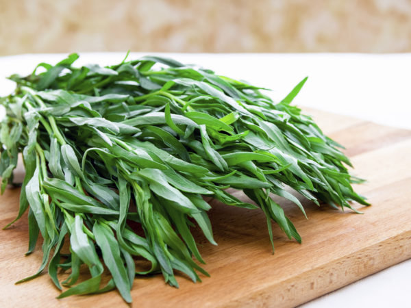Cooking With Spices: Tarragon | Dr. Weil's Healthy Kitchen
