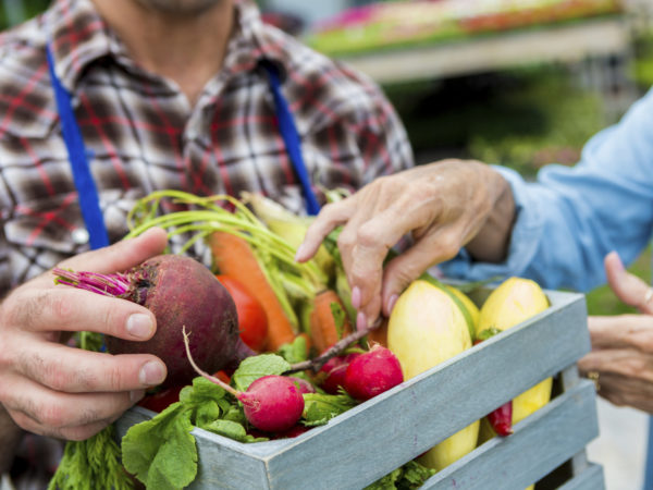 Male farmer selling fresh summer vegetables to senior woman. Carrots, radishes, and a beet are all in the small basket. The man is wearing a blue apron. Close up of vegetables and hands, the faces are out of the shot.
