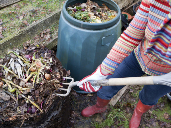 "Woman gardener using garden fork to first remove uncomposted food waste from top of composting bin pile, before spreading the compost below onto a vegetable garden."