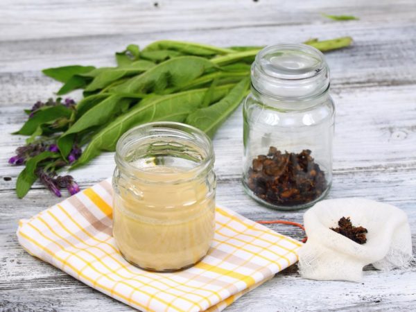 Fresh comfrey and dried comfrey roots are around