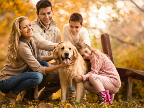 Happy family with two children with their golden retriever dog in a park on a warm autumn day.