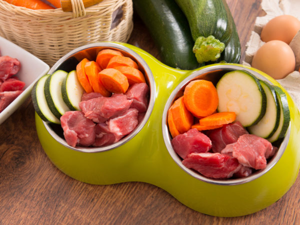 Raw Food For Pets