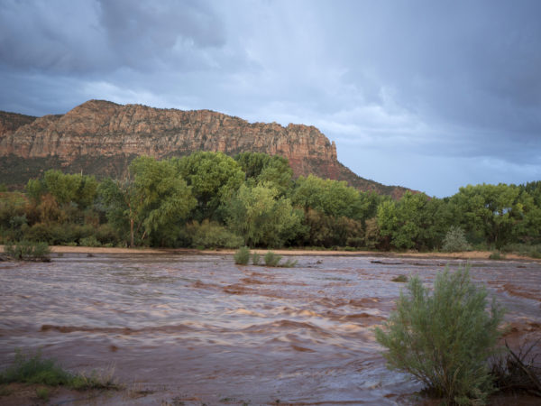 Flood waters flow through the usually dry Short Creek on the Arizona Strip, nearby the Cottonwood Point WIlderness, Arizona.