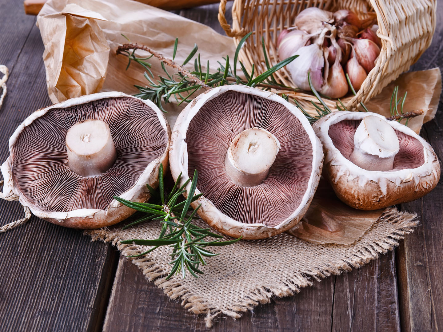 Mushrooms to Curb Cancer? Ask Dr. Weil