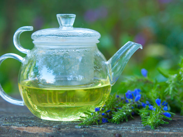 Hyssop | Herbs & Remedies | Andrew Weil, M.D.