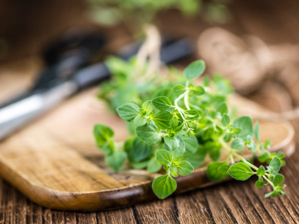 Marjoram | Herbs & Supplements | Andrew Weil, M.D.