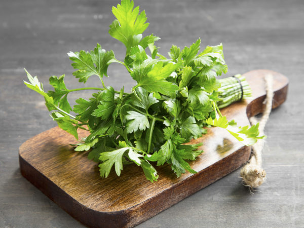 Parsley Culinary Herb on a Wooden Cutting Board