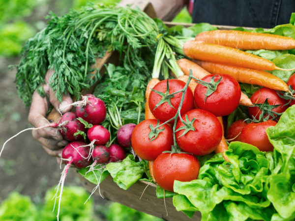 Vegetables | Copper | Supplements & Remedies | Andrew Weil, M.D.