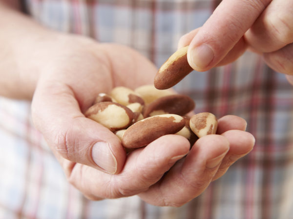 Brazil Nuts | Selenium | Supplements & Remedies | Andrew Weil, M.D.