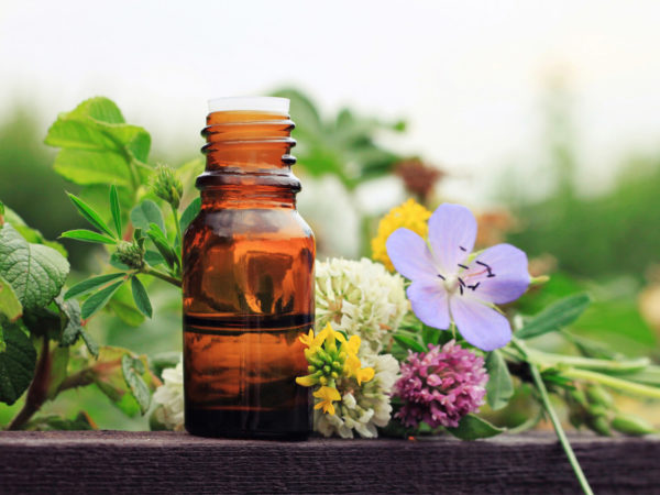 Can An Ayurvedic Herb Improve Your Memory
