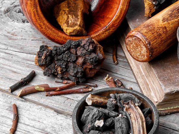 Concerned About Cancer? 6 Asian Mushrooms | Andrew Weil, M.D.