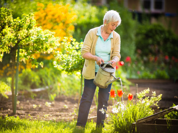 Light Exercise & Women’s Hearts | Weekly Bulletins | Andrew Weil, M.D.