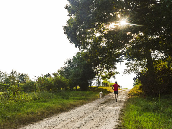 A Little Exercise & Your Brain | Weekly Bulletins | Andrew Weil, M.D.