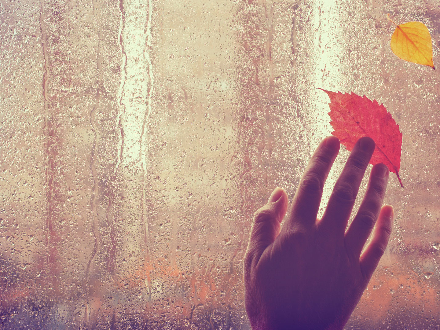 The Legacy Of Forgiveness Spontaneous Happiness Andrew Weil M D 